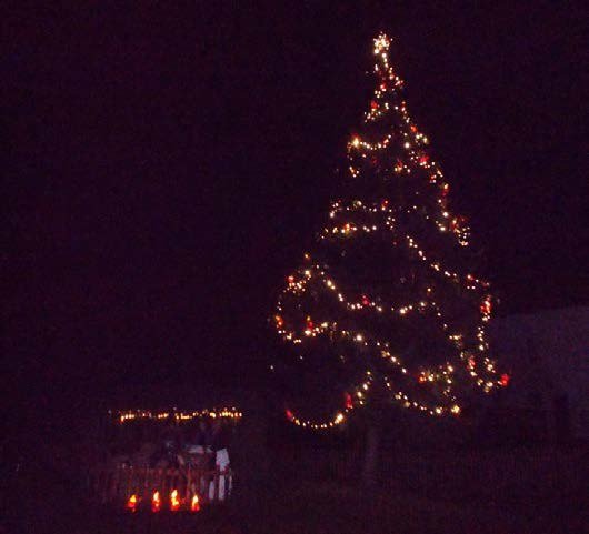 Rozsvícený vánoční strom města (Slavkovský zpravodaj, 12/2021)
