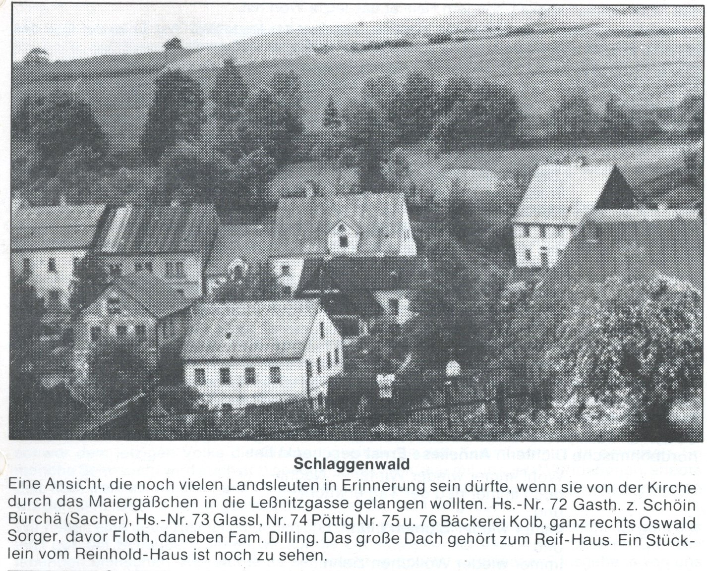 Fotografie
