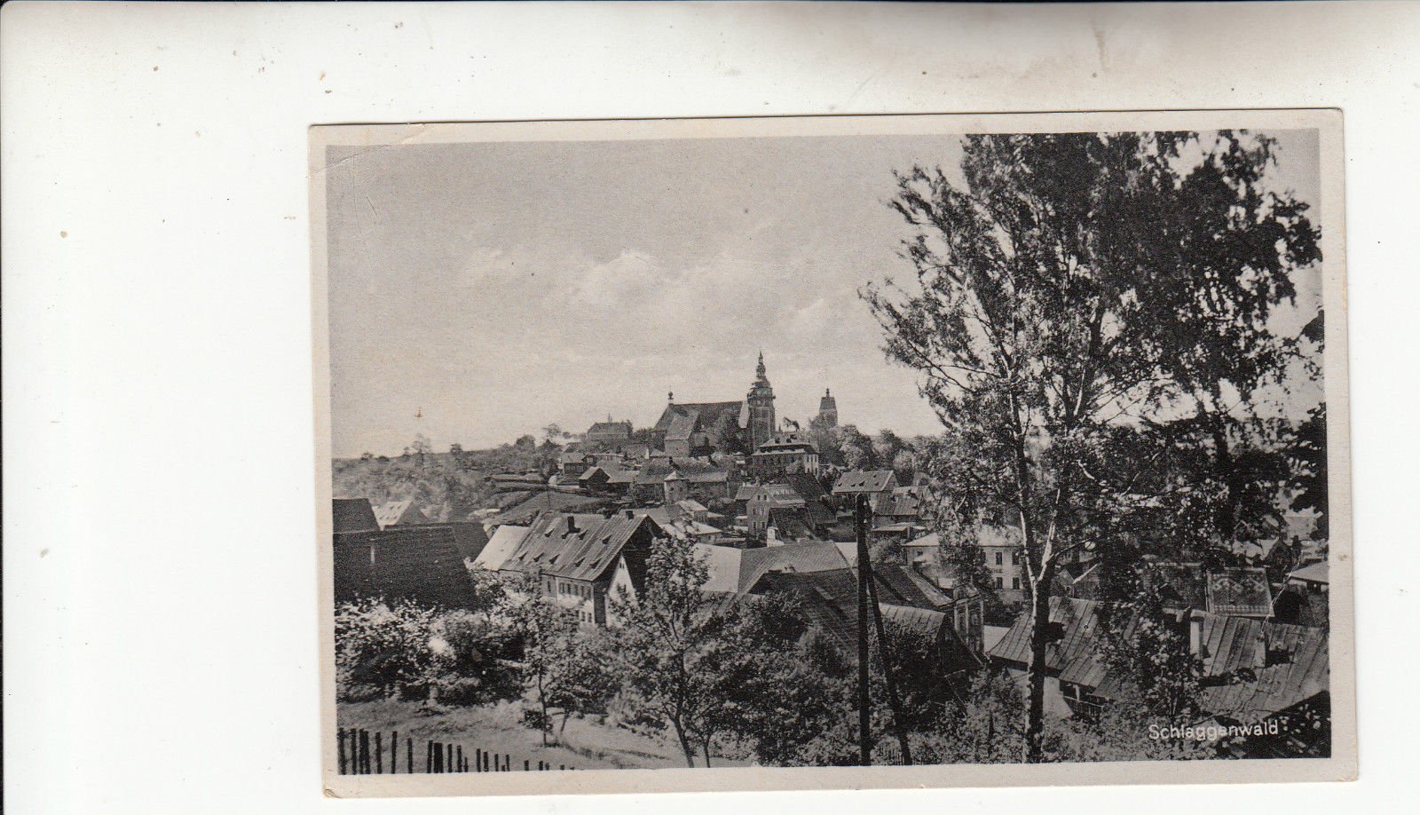 Fotografie