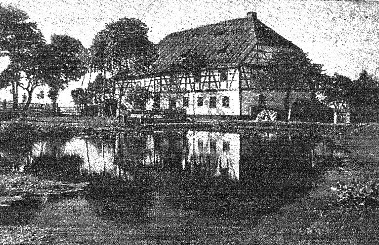 Fotografie