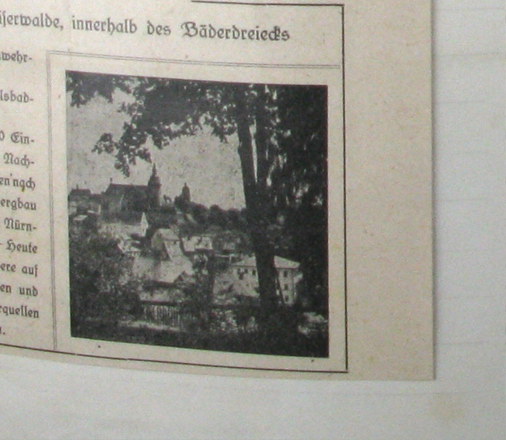 Fotografie v novinovém výstřižku „Schlaggenwald": panoramatický pohled na Horní Slavkov z návrší skrz stromy — střechy města s věží kostela a další věží v pozadí.