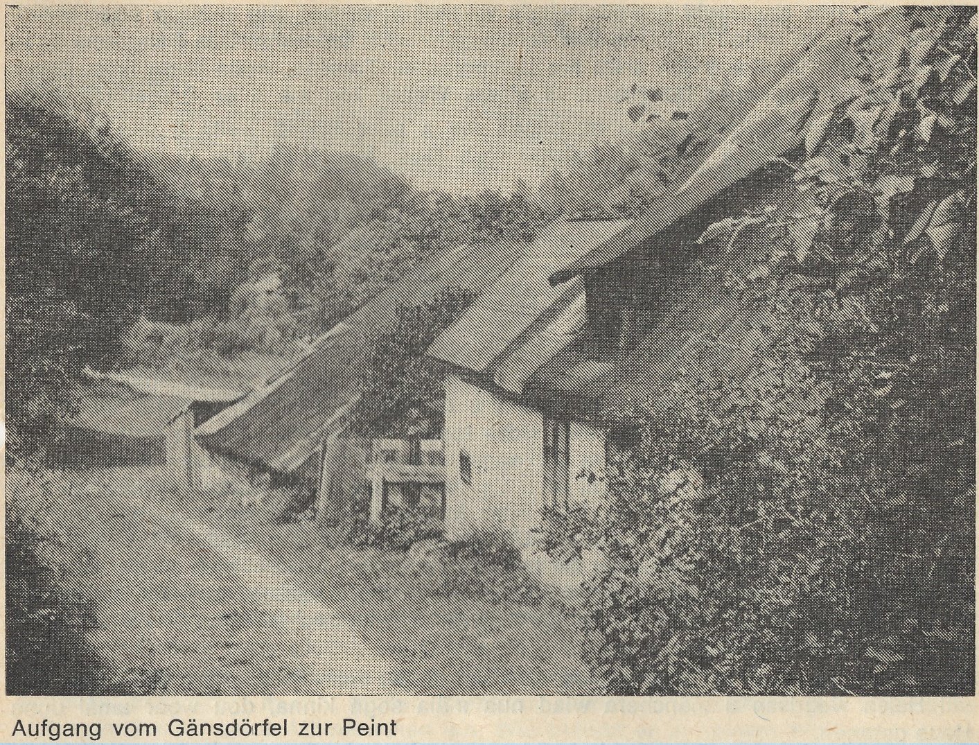 cesta z Luční ulice (Peintgasse) do Dolních příkopů (am Gänsdorfl)