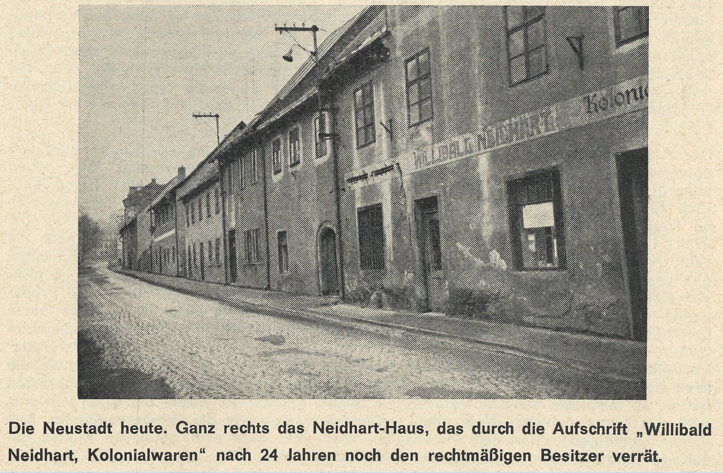 Fotografie