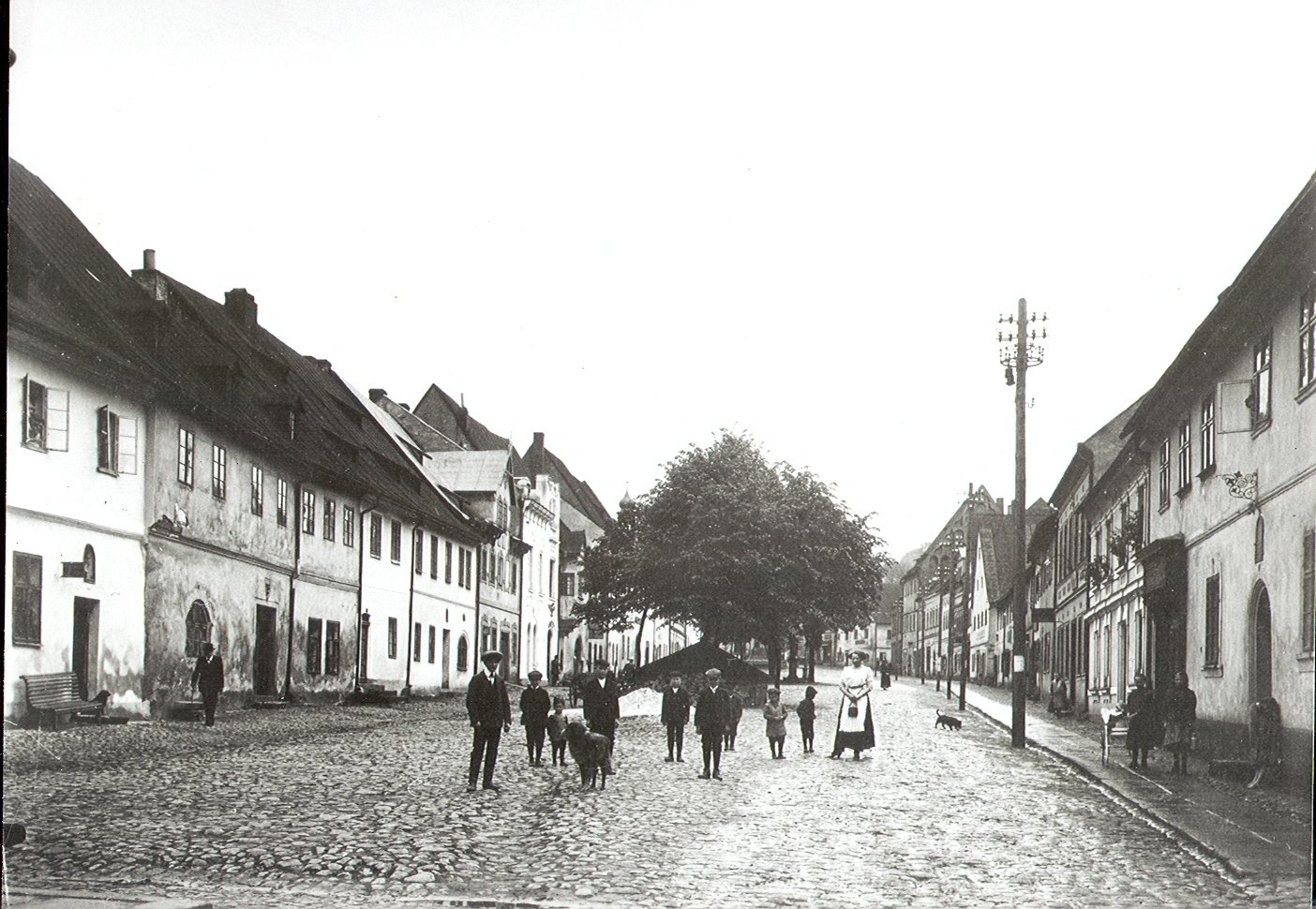 Fotografie