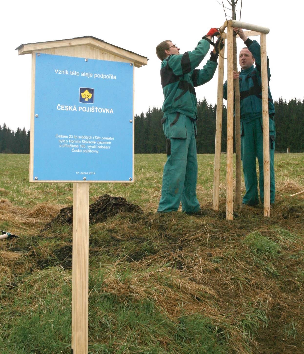 Výsadba lipové aleje, kterou ve městě pořídila Česká pojišťovna (Slavkovský zpravodaj, 5/2012)