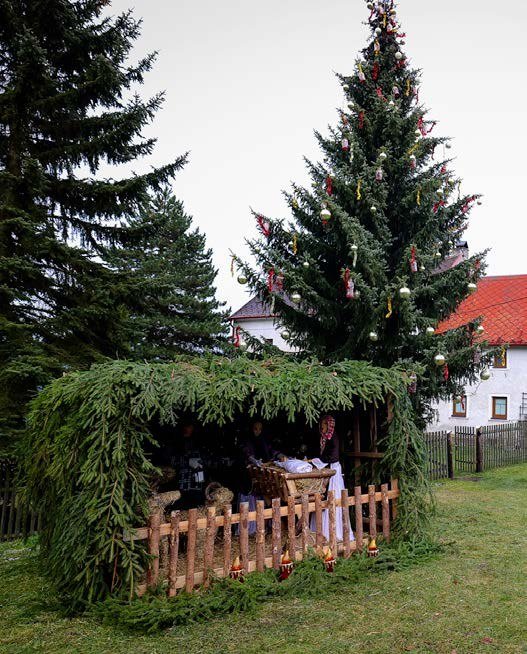 Vánoční strom s betlémem na Ležničce (Slavkovský zpravodaj, 1/2021)