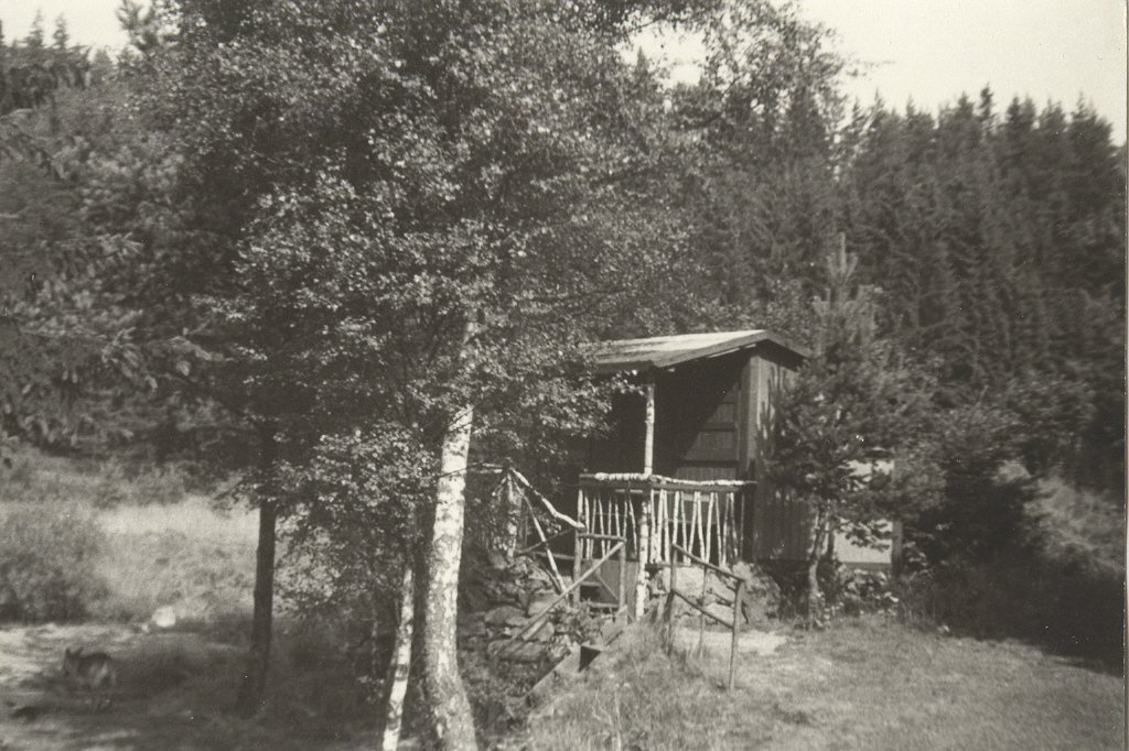 Fotografie