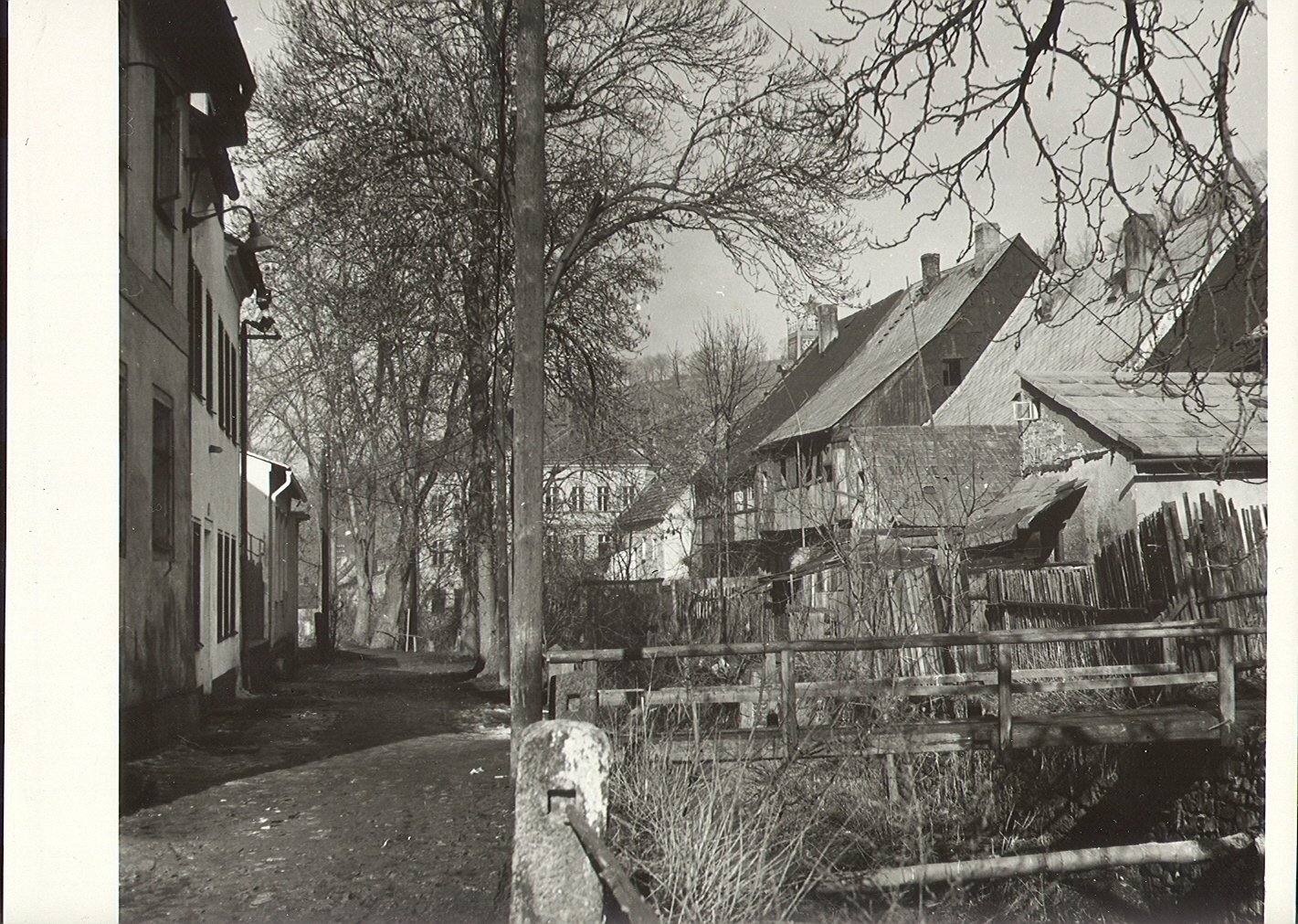 Fotografie