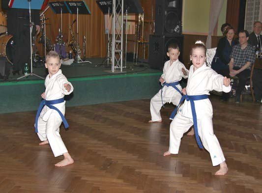 Děti v kimonech na karate kroužku (Slavkovský zpravodaj, 5/2016)