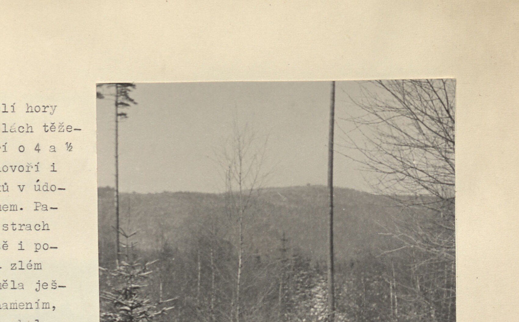 Černobílá fotografie zimní zalesněné krajiny s nízkým zalesněným kopcem v pozadí (zřejmě hora Krudum).